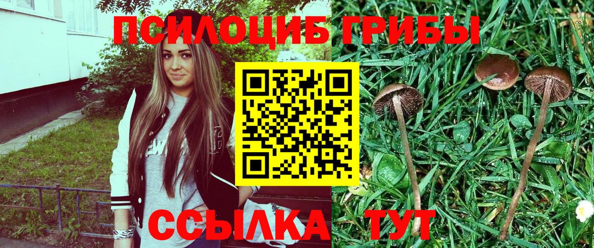 Галлюциногенные грибы Magic Shrooms Менделеевск